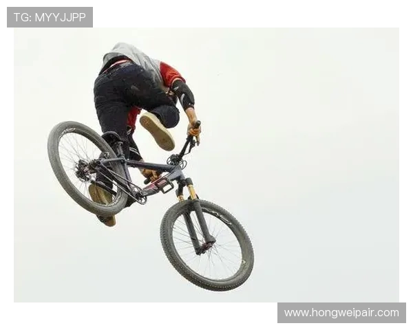 成都极限运动队战术解析与对比探讨全面分析